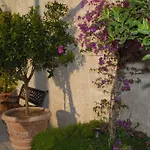 Oda ve Kahvaltı Castello Conti Filo Torre Santa Susanna