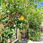 Oda ve Kahvaltı Castello Conti Filo Torre Santa Susanna