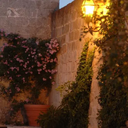 Castello Conti Filo