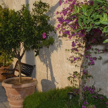 Bed & Breakfast Castello Conti Filo Torre Santa Susanna