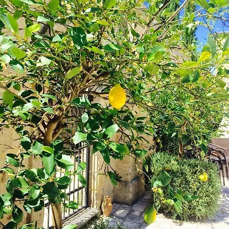 Alojamento de Acomodação e Pequeno-almoço Castello Conti Filo Torre Santa Susanna