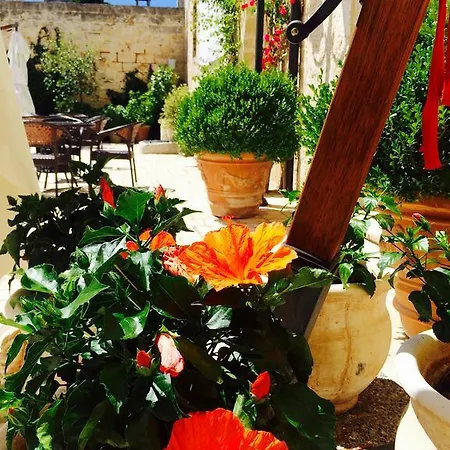 Bed & Breakfast Castello Conti Filo 4*