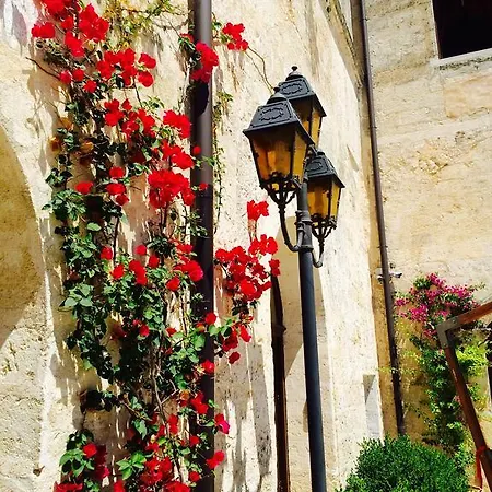 فندق مبيت وإفطار Castello Conti Filo 5*